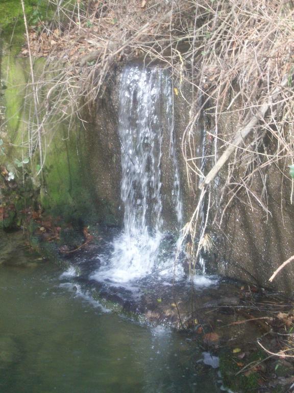 Agriturismo Gelso Castellana Sicula Buitenkant foto